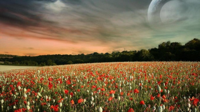 为什么大家觉得中医一无是处?